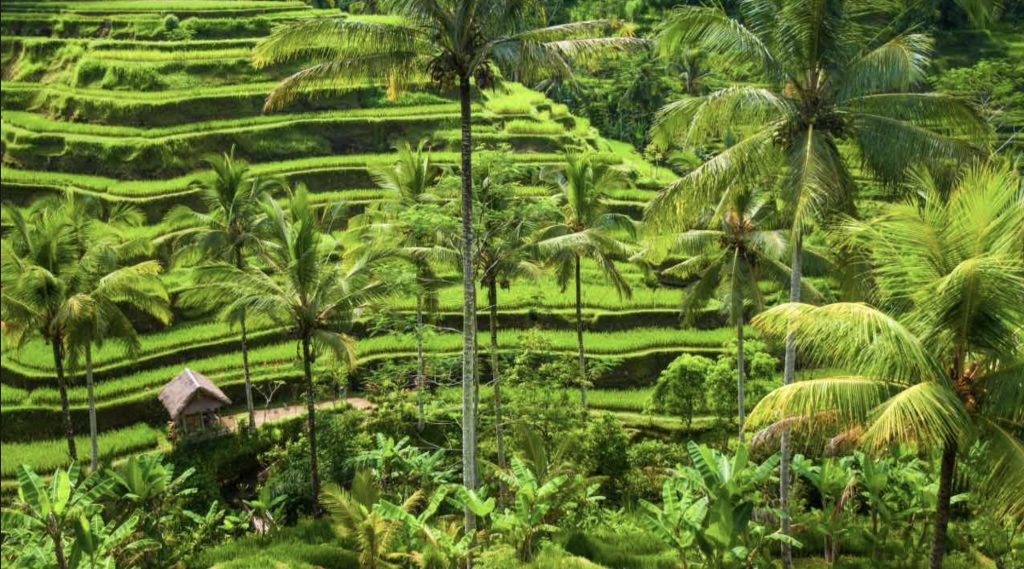 viaggiare in indonesia